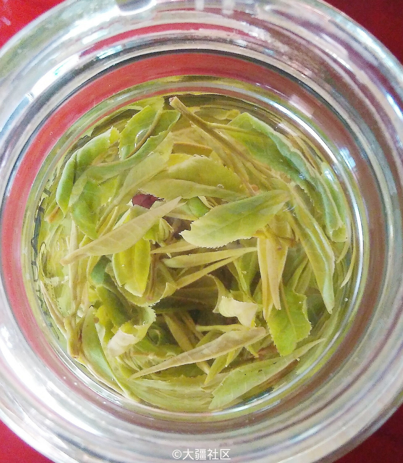 蜈蚣岭(愚公岭)的故事